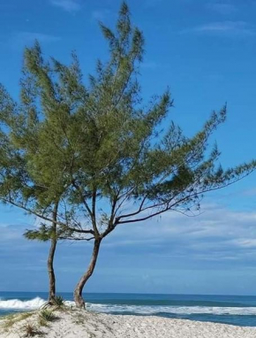Cantinho do Paraíso